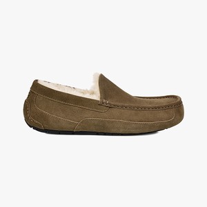 Ugg Ascot Men Slippers Brown (8316UMZOR)